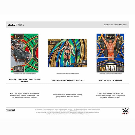 Panini Select WWE 2024 Hobby Box