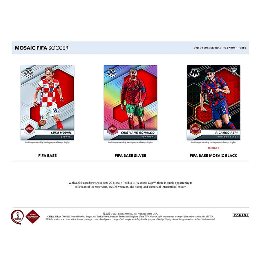 Panini 2022 Road To World Cup Mosaic Soccer Trading Card Hobby Factory Case