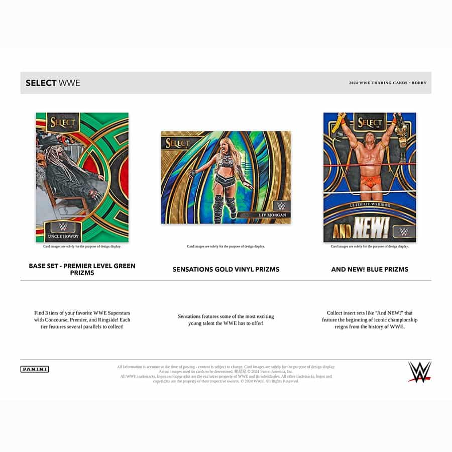 Panini Select WWE 2024 Hobby Case