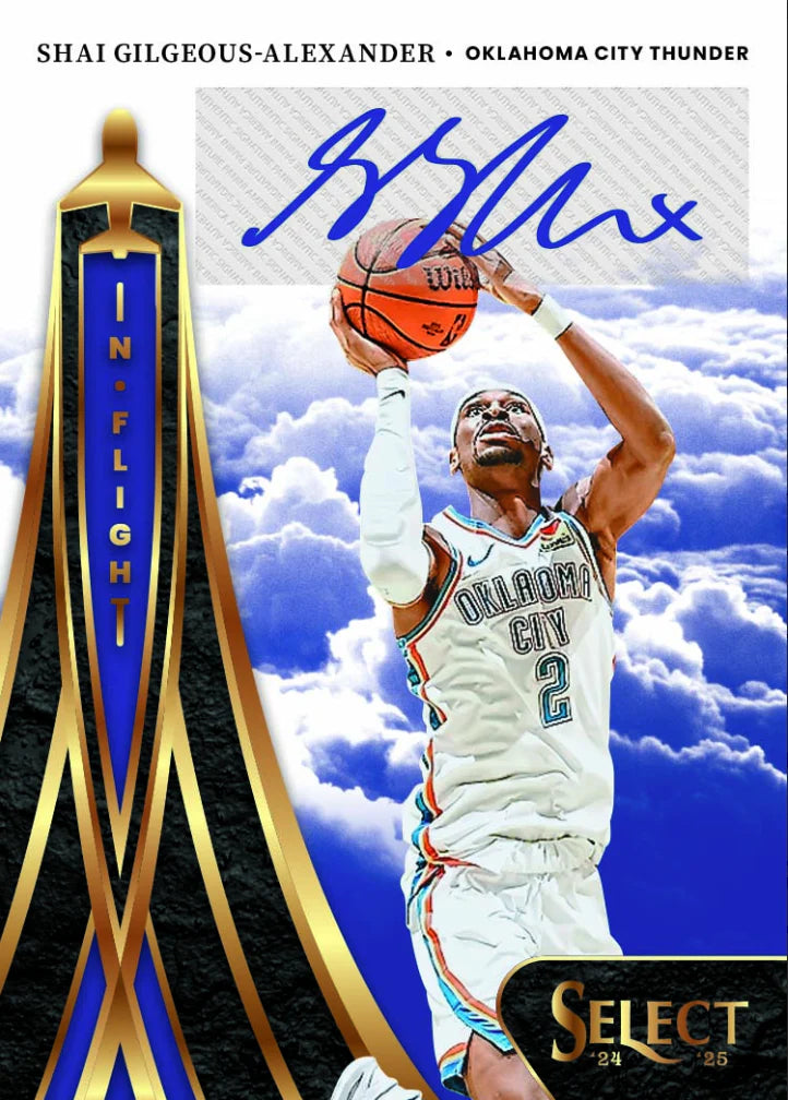 Panini Select Basketball Cracked Ice 2024/25 Retail Mega Box