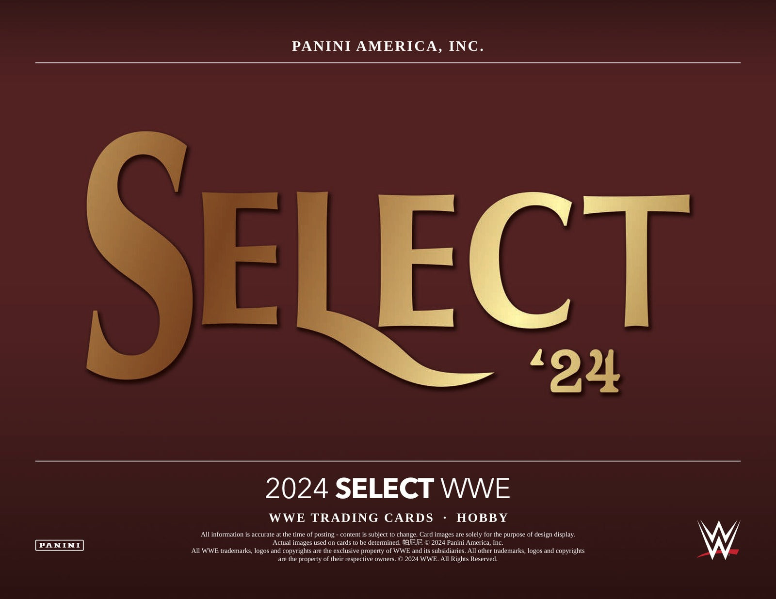 Panini WWE 2024 Hobby Box - Sell Sheet Page 1