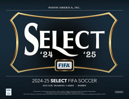 Panini Soccer 2024/25 Case - Sell Sheet Page 1