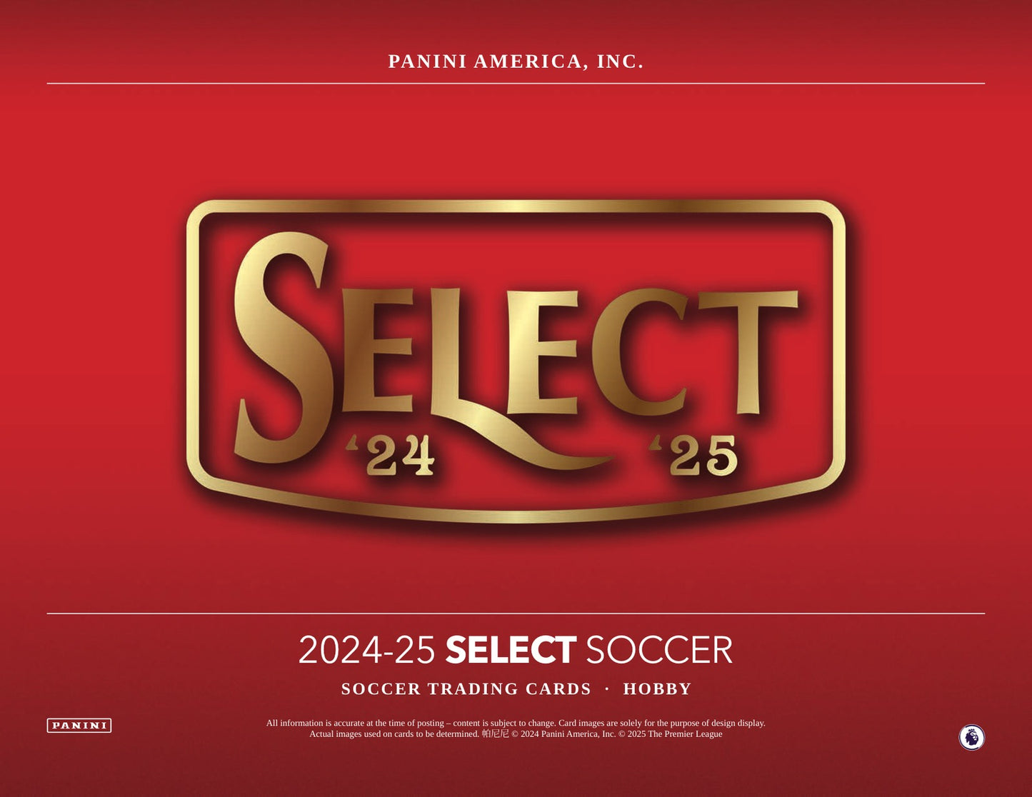 Panini English Premier League Soccer 2024/25 Case - Sell Sheet Page 1
