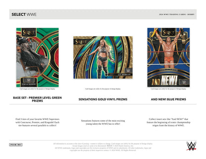 Panini WWE 2024 Hobby Box - Sell Sheet Page 2
