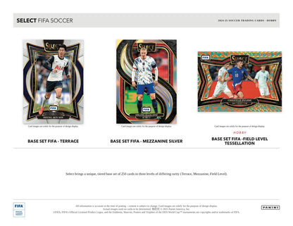 Panini Soccer Hobby Box 2024/25 Hobby Box - Sell Sheet Page 2