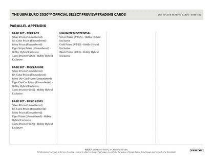 Panini UEFA Euro Soccer 2020 Hybrid Box - Sell Sheet Page 5